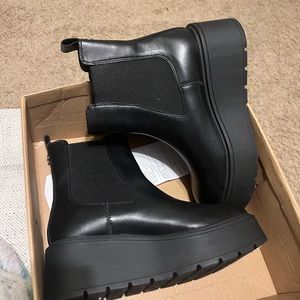 Steve Madden BRAND NEW Jitter Booties